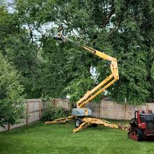 Best Fruit Tree Pruning  in Mooreland, OK